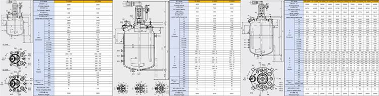 Fig-2 STANDDARD SPECIFICATION OF CE TYPE GLASS LINED REACTOR