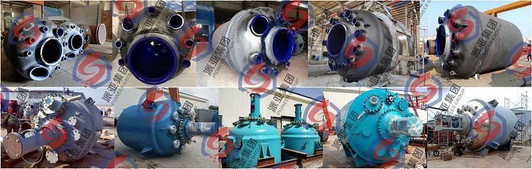 Fig-1 CE type glass lined reactor(001)